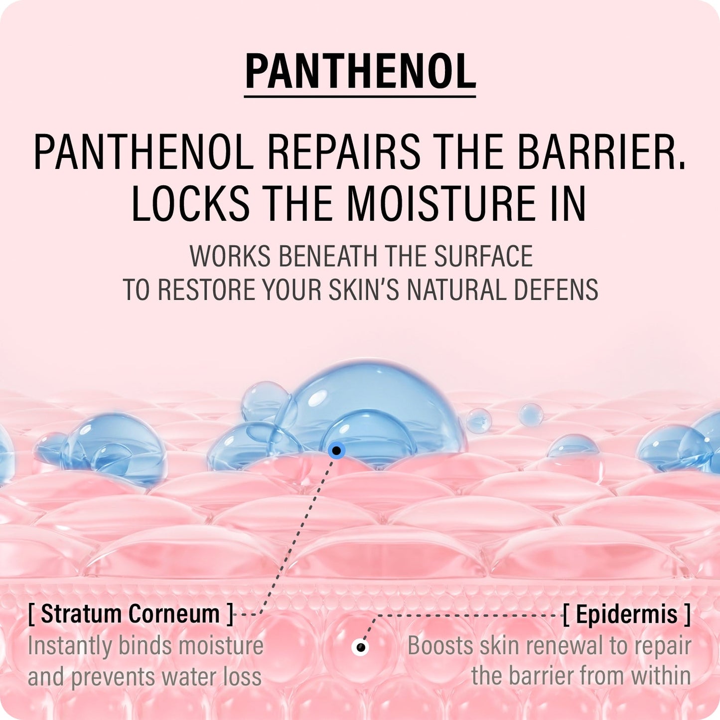 EPII - DOUBLE UP CREAM ECTOIN & PANTHENOL