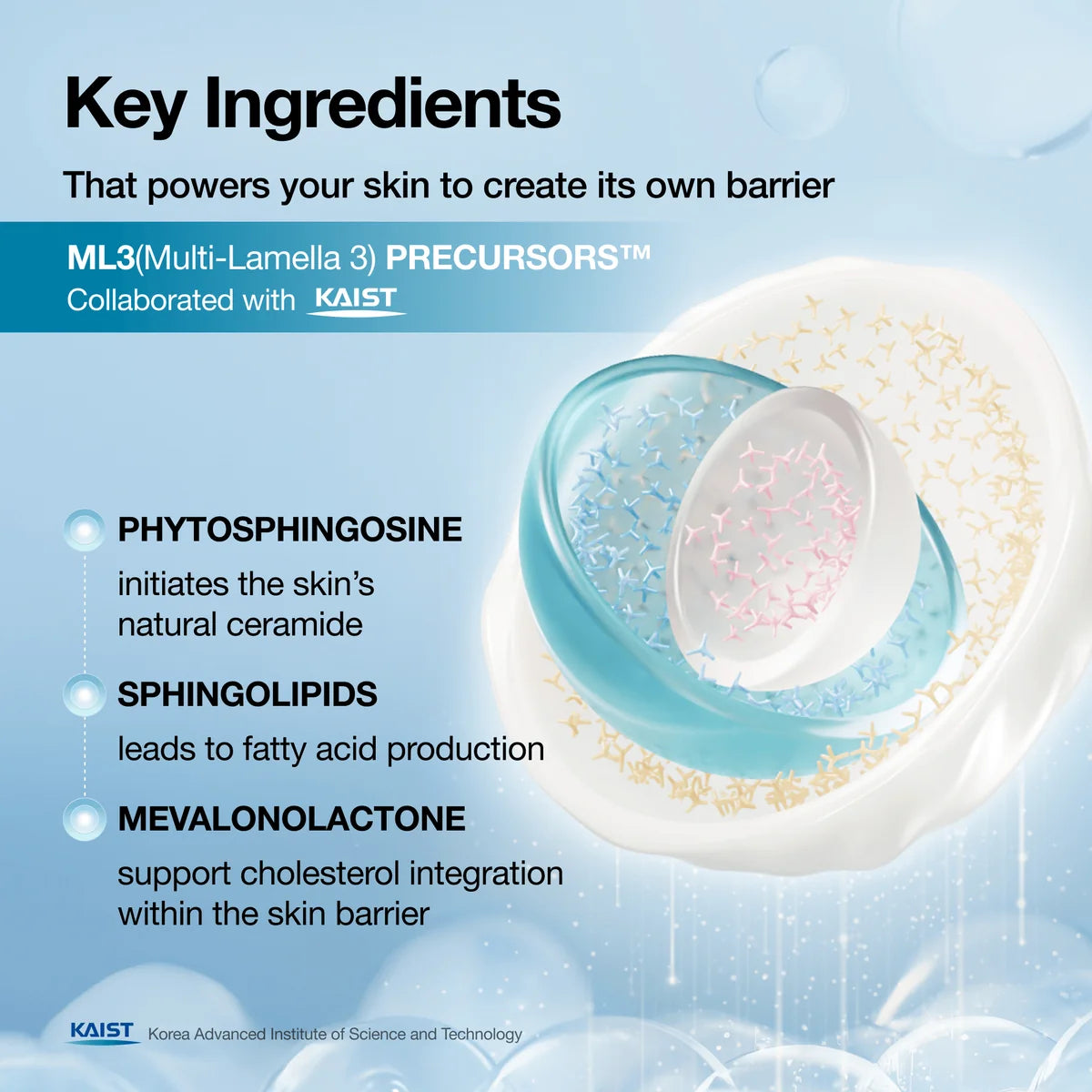 Anua Barrier Reboot Daily Moisturizer